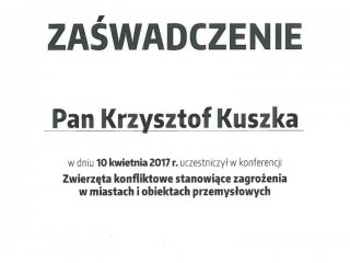 gzddd-certyfikaty-zwierzeta-konfliktowe-stanowiace-zagrozenia-w-miastach-i-obiektach-przemyslowych